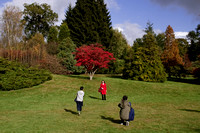 Sheffield Park Garden, Sussex, England