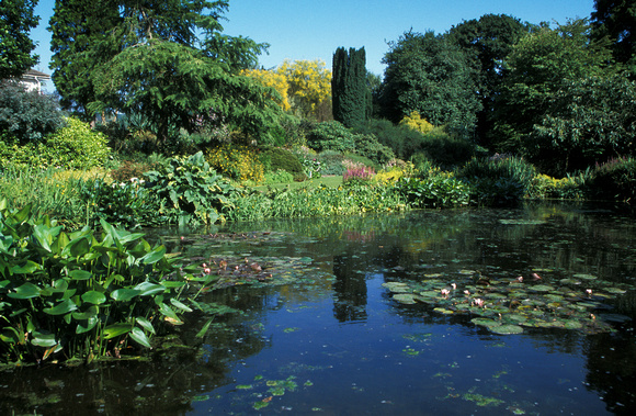 Beth Chatto Gardens, East Anglia