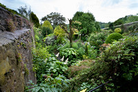 Millgate House Garden in Richmond