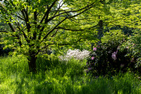 Arboretum Wespelaar