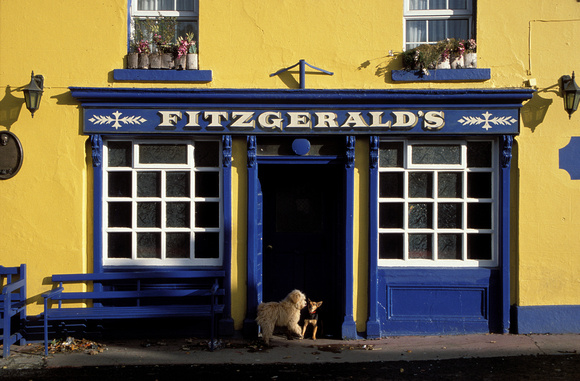 Fitzgerald's pub, Avoca, Ireland