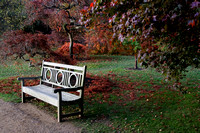 Sheffield Park Garden, Sussex, England