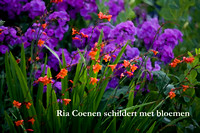 Ledendag 2012 in de tuin van Ria Coenen