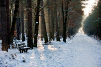 Landschappen Herselt en omgeving