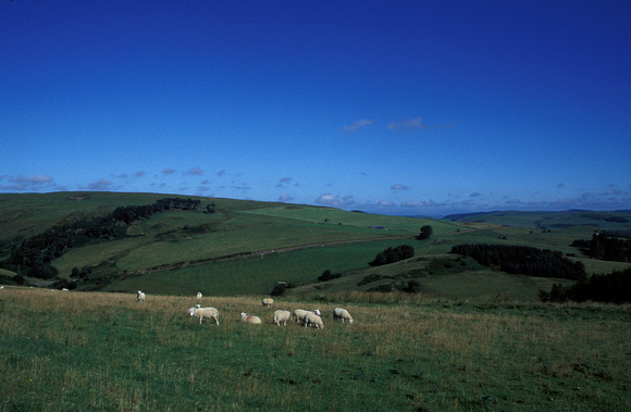 Staylittle, Mid-Wales