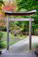 Bezoek aan de Japanse Tuin in Hasselt op 18 oktober 2020