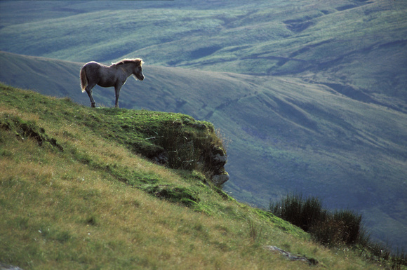 Brecon Beacons, South Wales