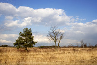 Natuurreservaat Hageven